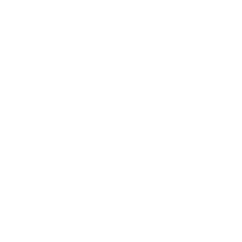 X (Twitter)